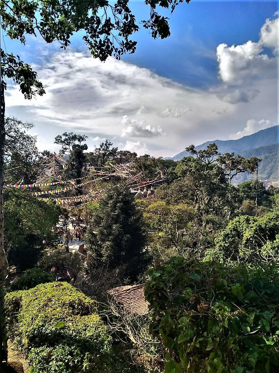 IMG-20180215-WA0184.jpg