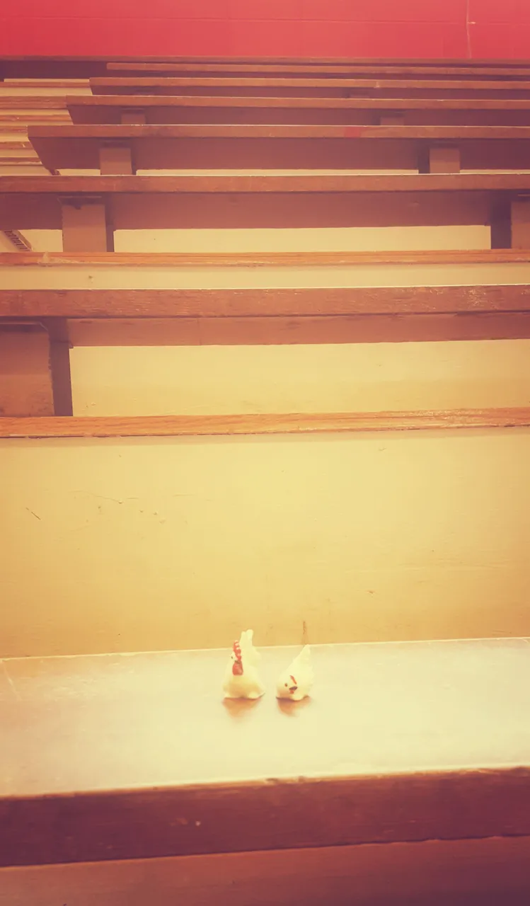 20170908_160506-01.jpeg