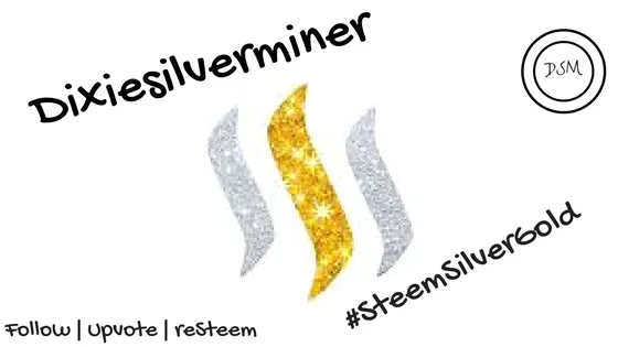 DSM Steemitbanner.png