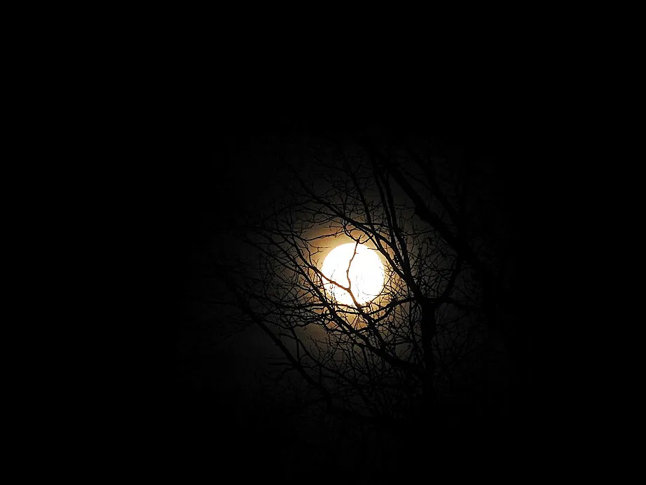 Night after the Full Wolf Moon, part 1