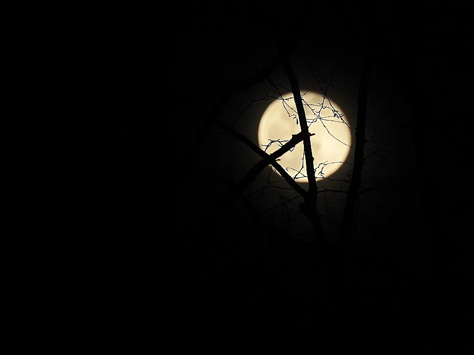 Night after the Full Wolf Moon, part 1