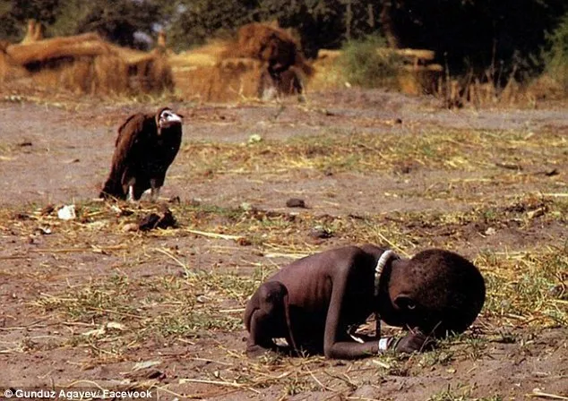 2E0AD13D00000578-3300571-Perspective_Gunduz_re_imagines_Kevin_Carter_s_Pulitzer_Prize_win-m-41_1446496926544.jpg