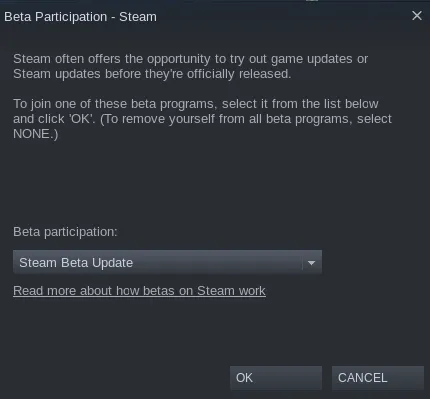 steam beta