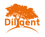 Dilygent: Talented minds - Mentes talentosas