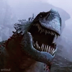 untitled.gif