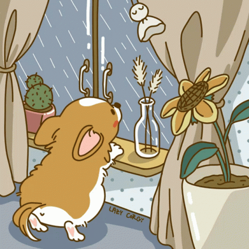 untitled.gif