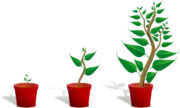 postimage