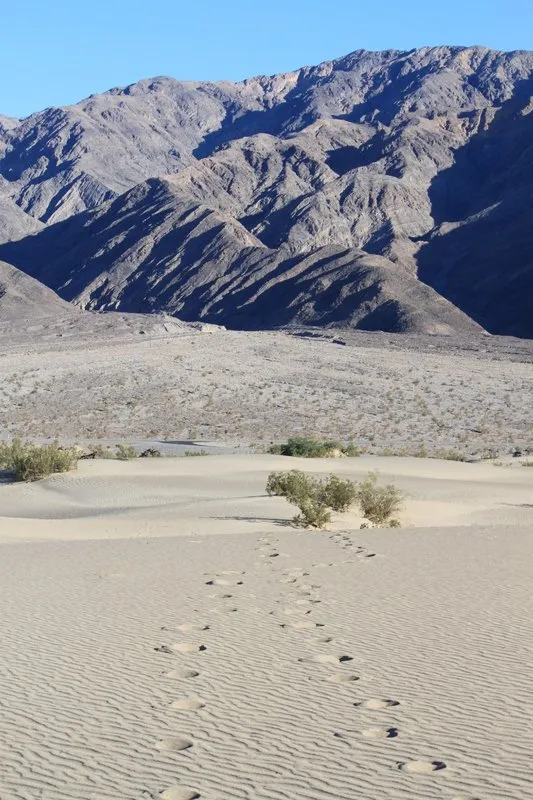 Death Valley 2 193