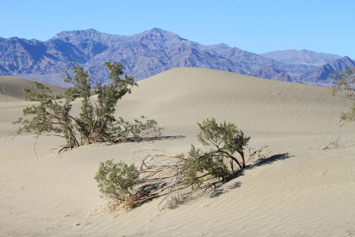 Death Valley 2 145