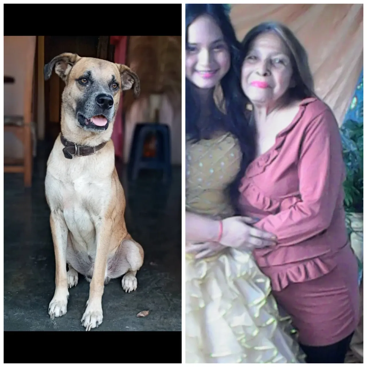 IJXJnJ4JMb0kuYtE_Picsart_24-12-20_18-35-41-782.webp