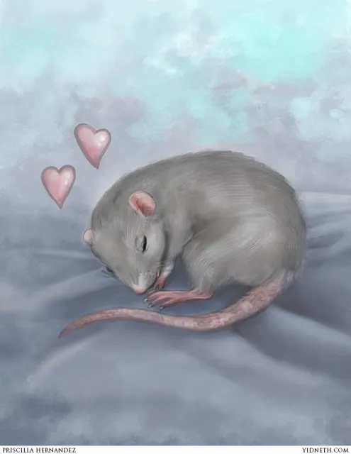 Baby Fufunchi  - by Priscilla Hernandez (yidneth.com).jpg