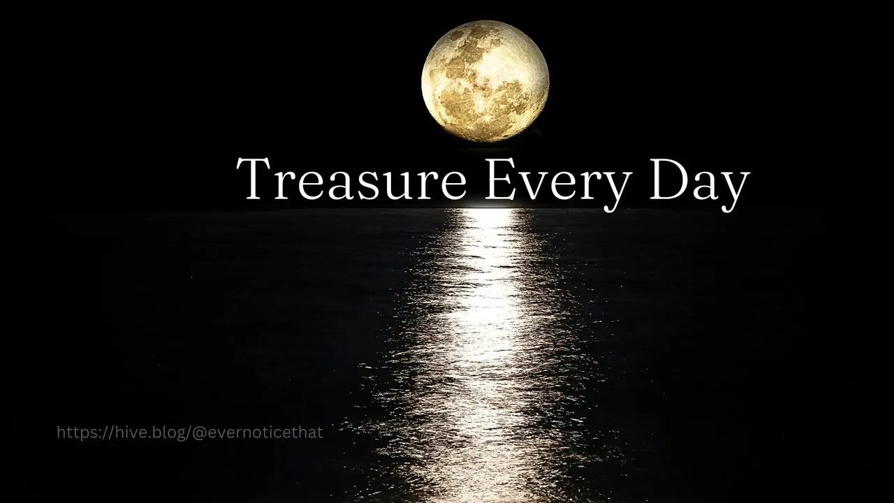 Treasure Every Day @EverNoticeThat httpshive.blog@evernoticethat.jpg