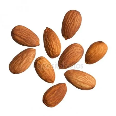 depositphotos_18308747-stock-photo-almonds-isolated-on-white-background.jpg