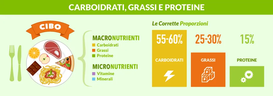 Proteine-carboidrati-e-grassi-le-regole-per-unalimentazione-equilibrata.png