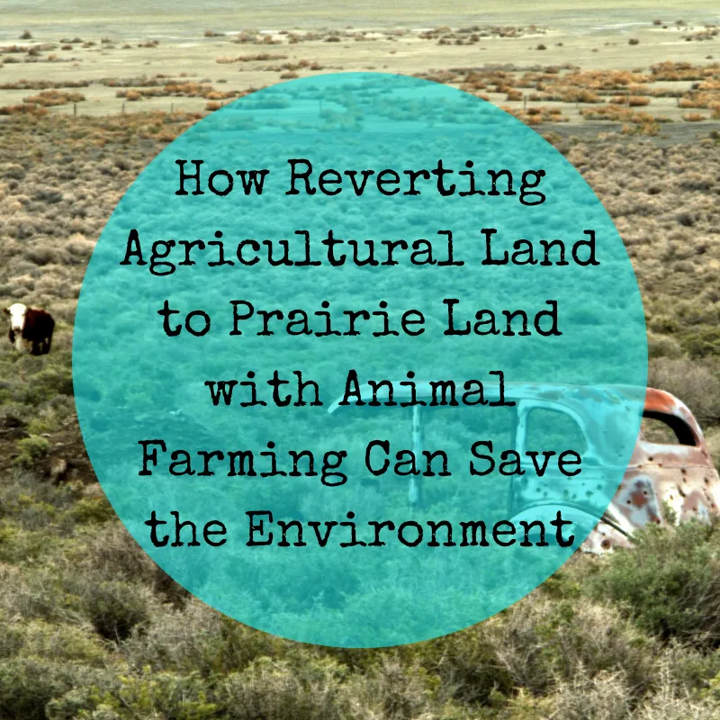 agricultural-land