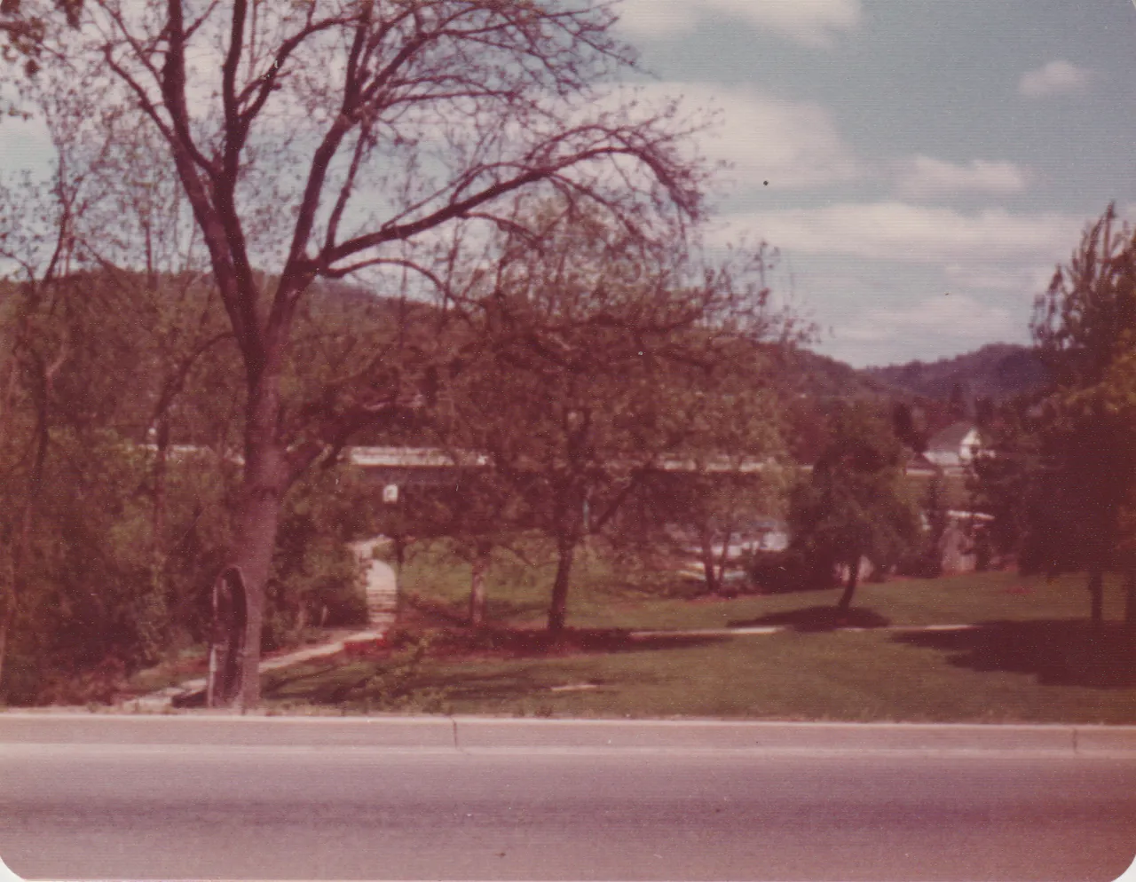 1975-06 - Orange Tint - Octagon Shape - roads, trees, bridges, car, flowers, sink, etc, but not sure when or where, 6pics-4.png