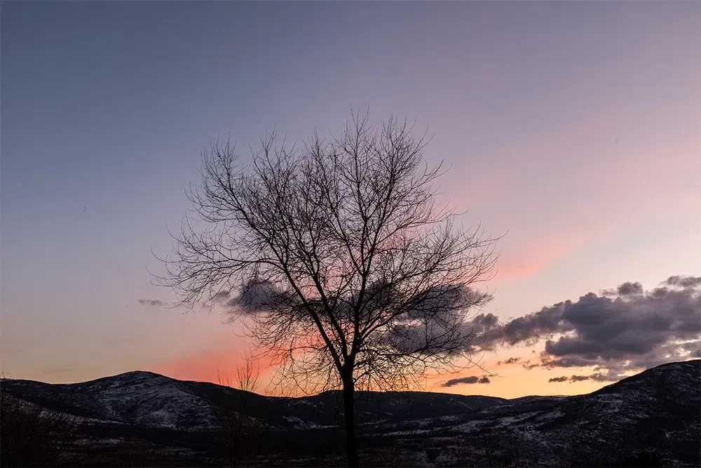 cCRzG1VOWANyBYPM_1366_2000.webp