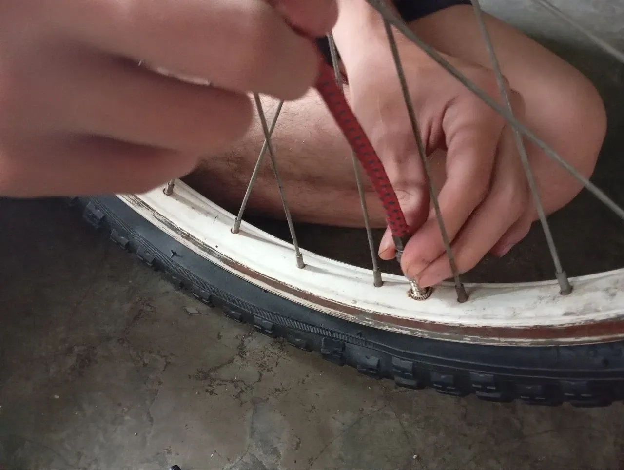 8SXZ9ob68bg3kAix_syusver3bici.webp