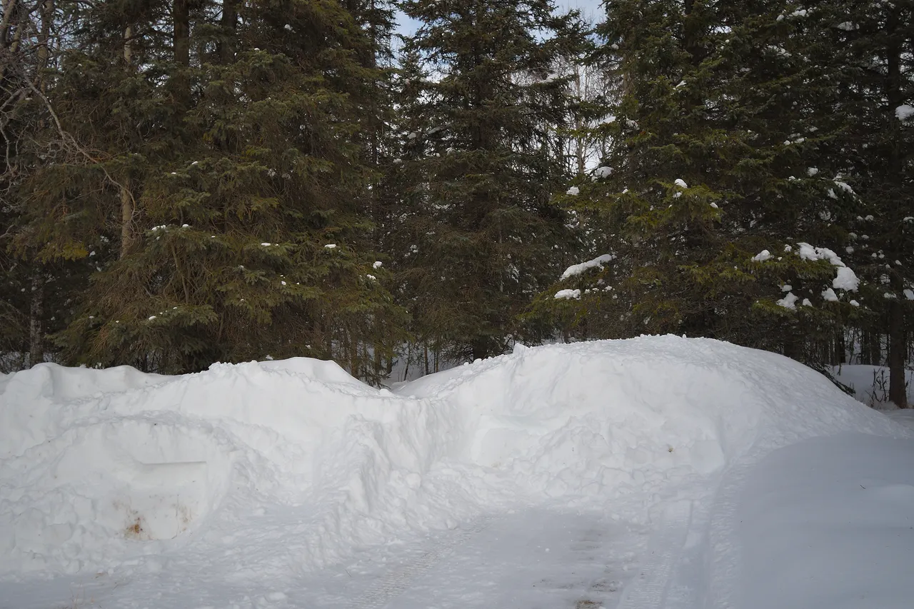 DSC_9291 snow pile 2.jpg