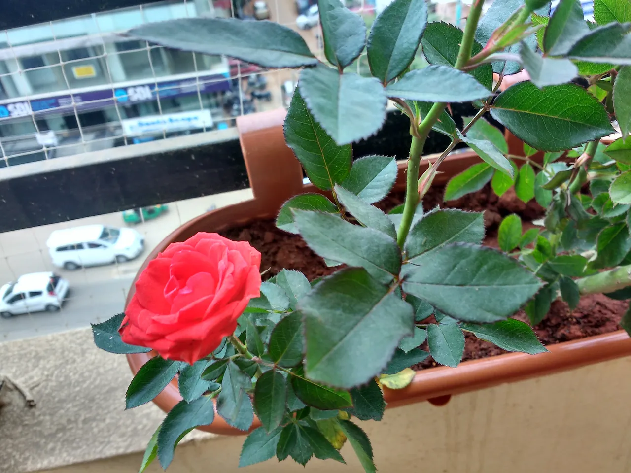 IMG_20180719_175748991_HDR.jpg