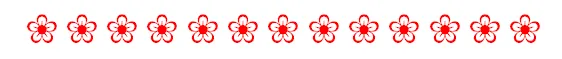 separador flores delg..png