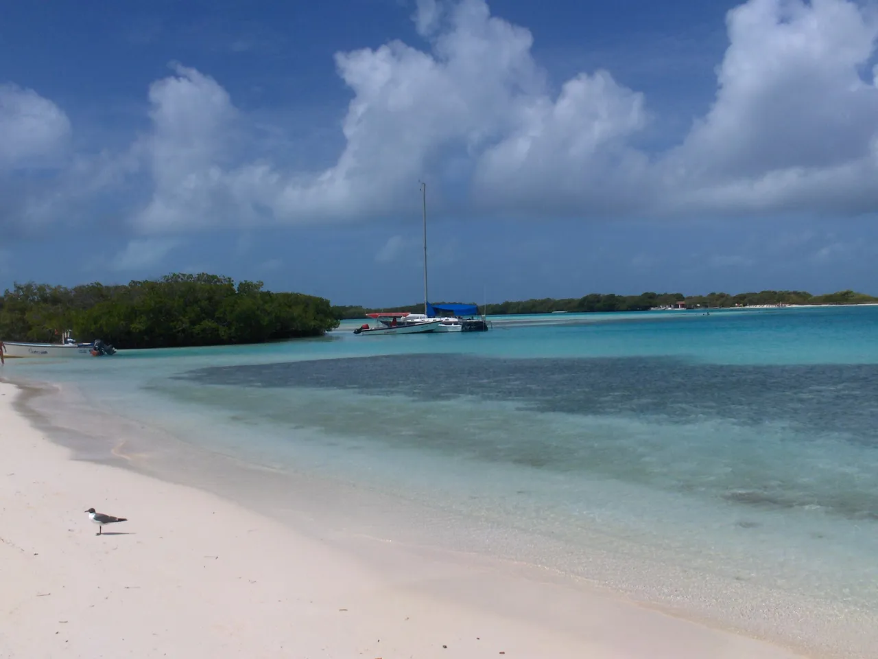 fotos los roques 040.jpg