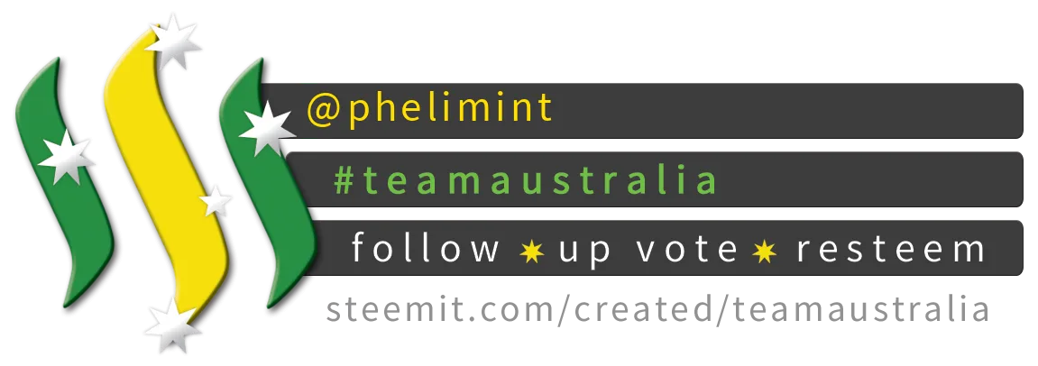 TeamAustralia Compact Banner