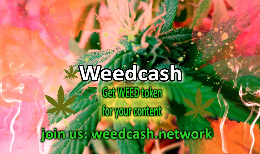 weedcash first2dfewdewde.jpg