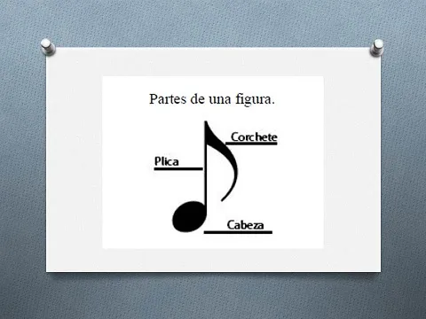 partes de una figura.jpg