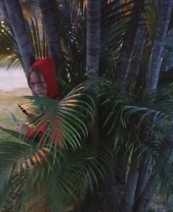 mene defense ninja 2.jpg