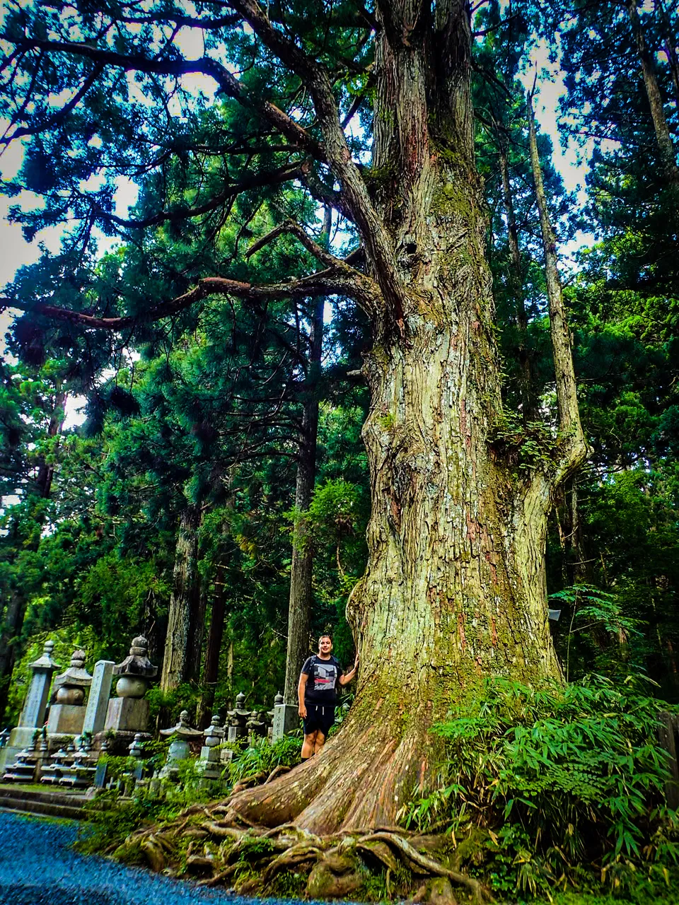 LRM_EXPORT_20180610_133109.jpg