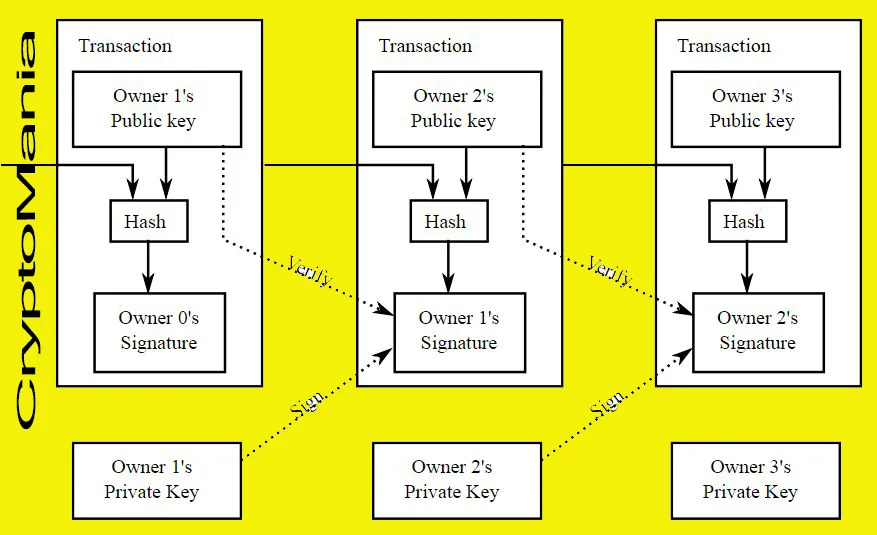 01.BTC TRANSFER CURVES.JPG