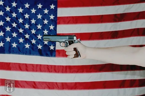 gun-ownership-in-america-1.jpg