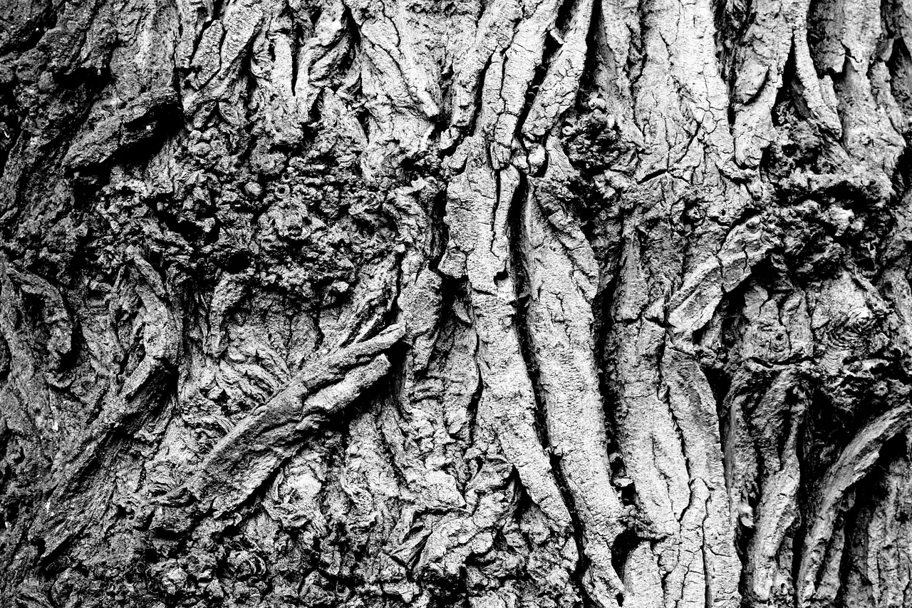 eyeemfiltered1546191600730.jpg