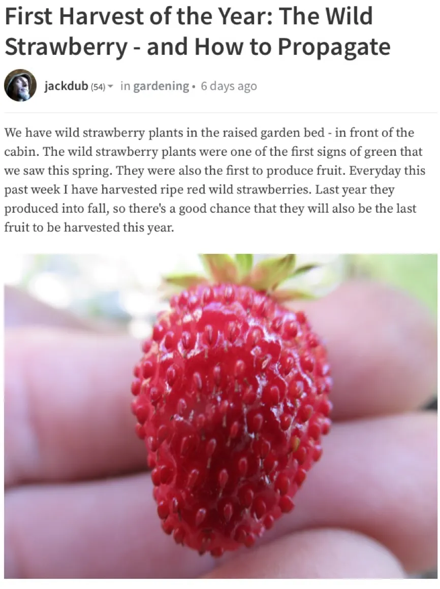 Article iv - jackdub.jpg