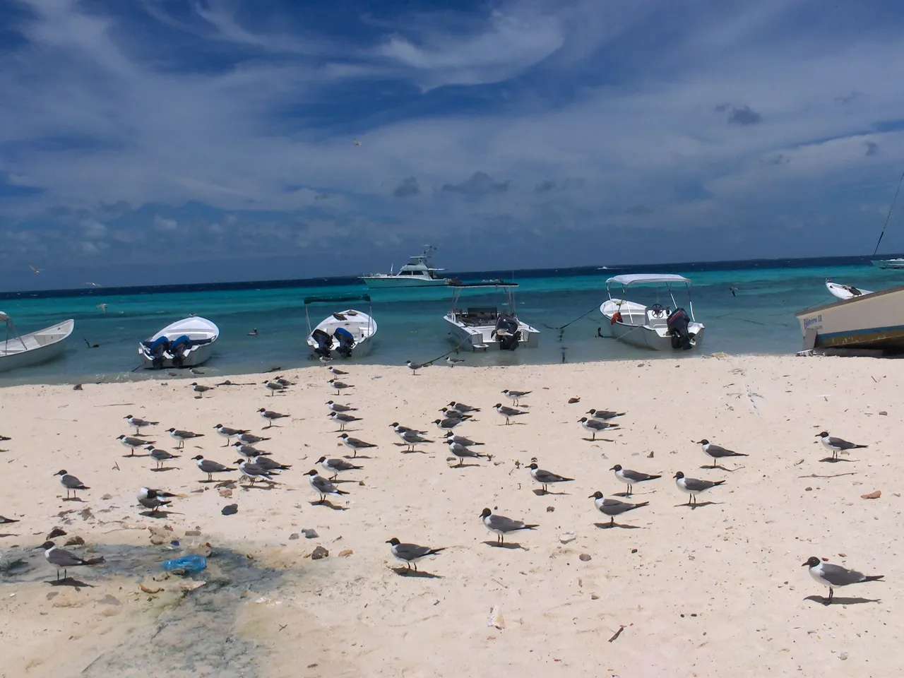 fotos los roques 006.jpg