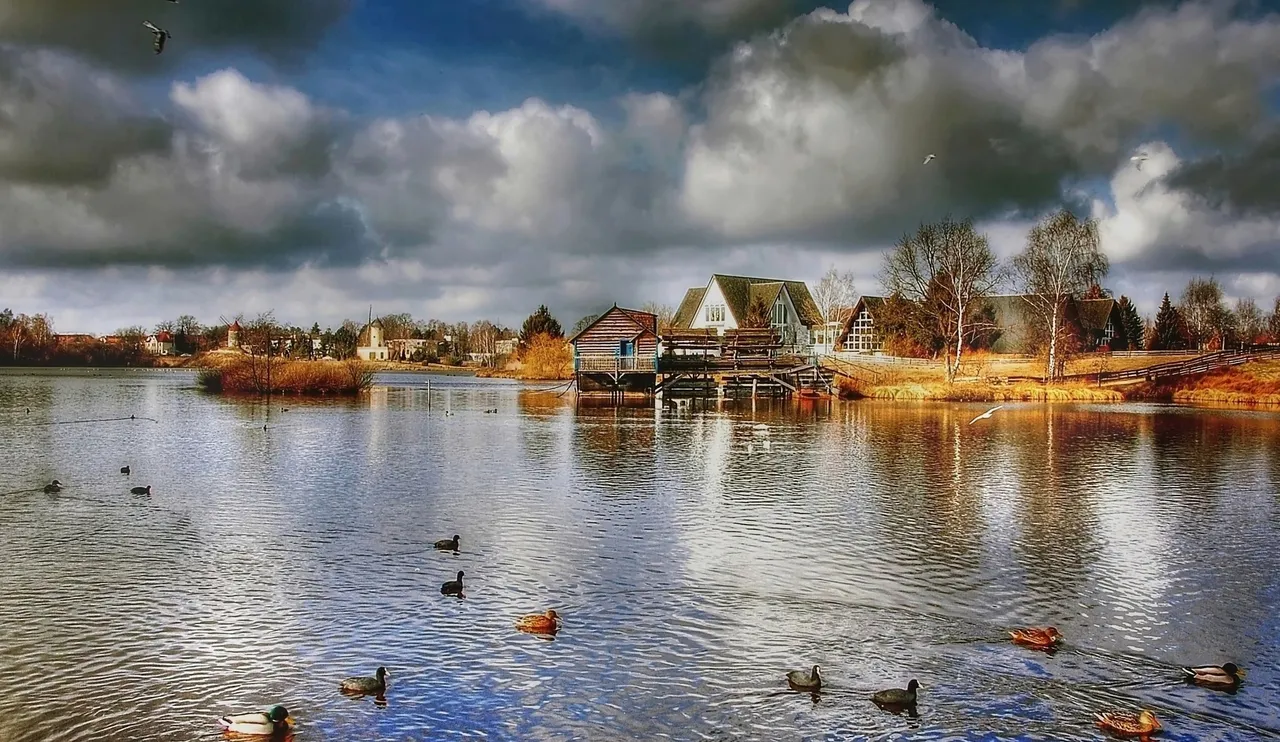 clouds-ducks-houses-414515.jpg