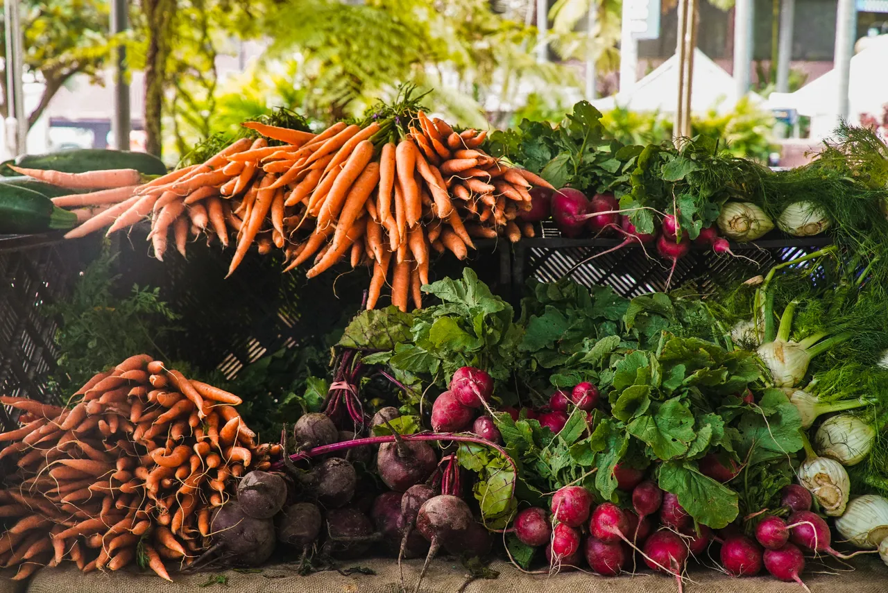 radish-and-carrots-1656663.jpg