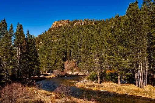 truckee-river-1591361__340.jpg