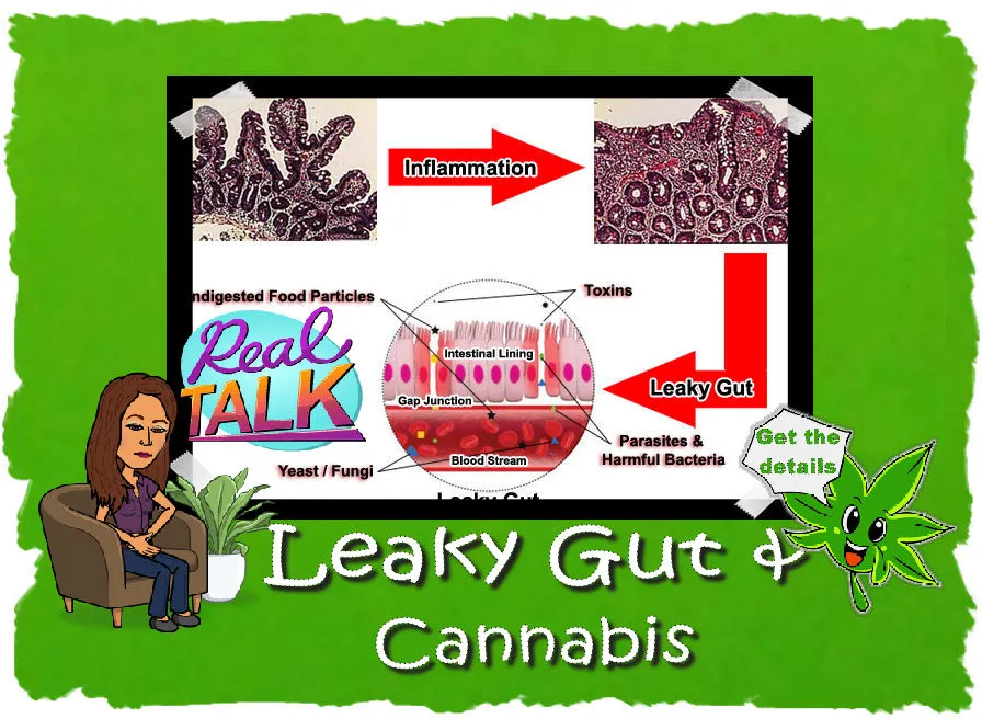 # LeakyGut_featureimage2.jpg