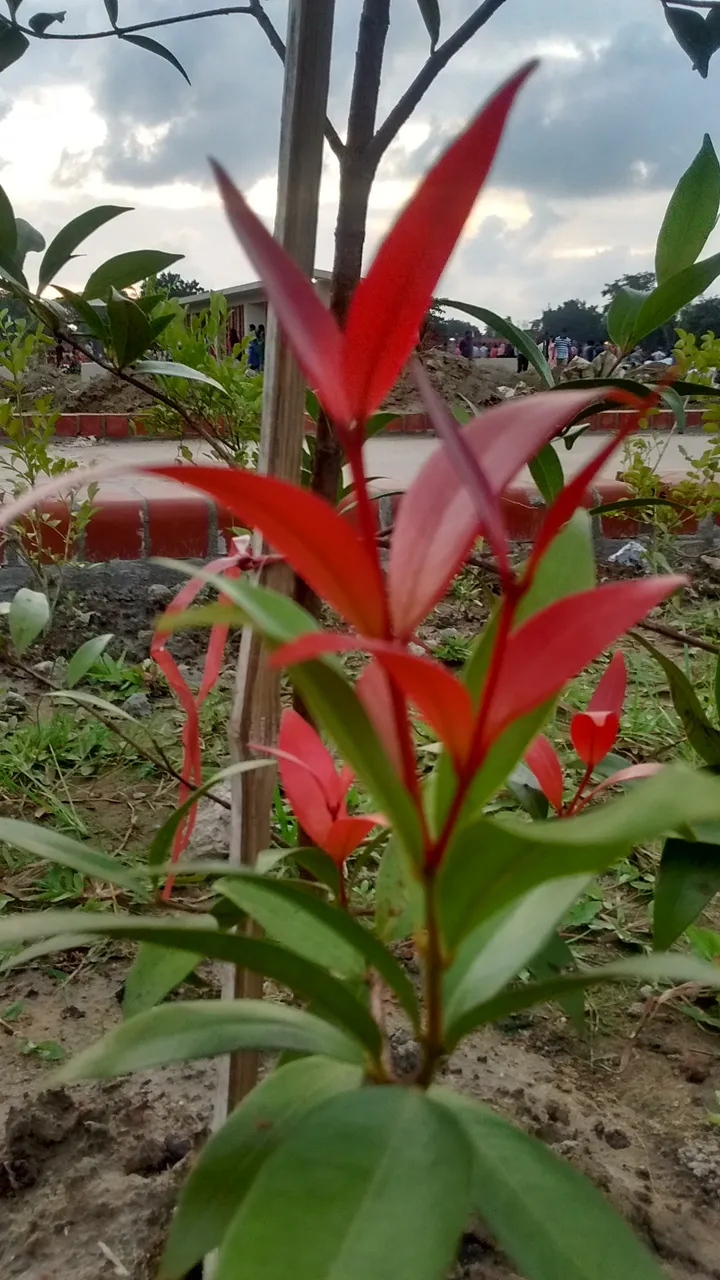 IMG_20180824_180852974_HDR.jpg