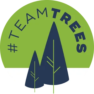 Mr-Beast-TeamTrees-300x300.png