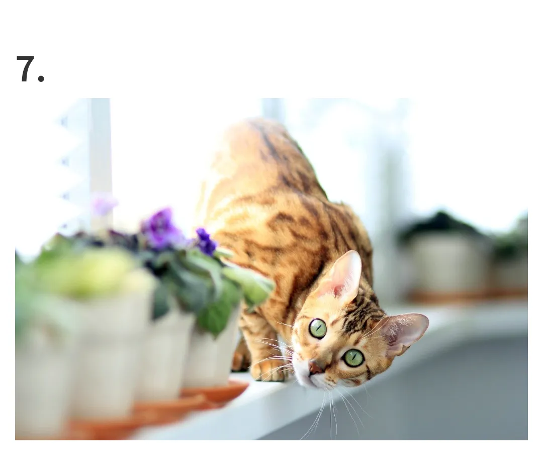 Screenshot_20180619-180418.png