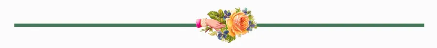 border hand and rose.png