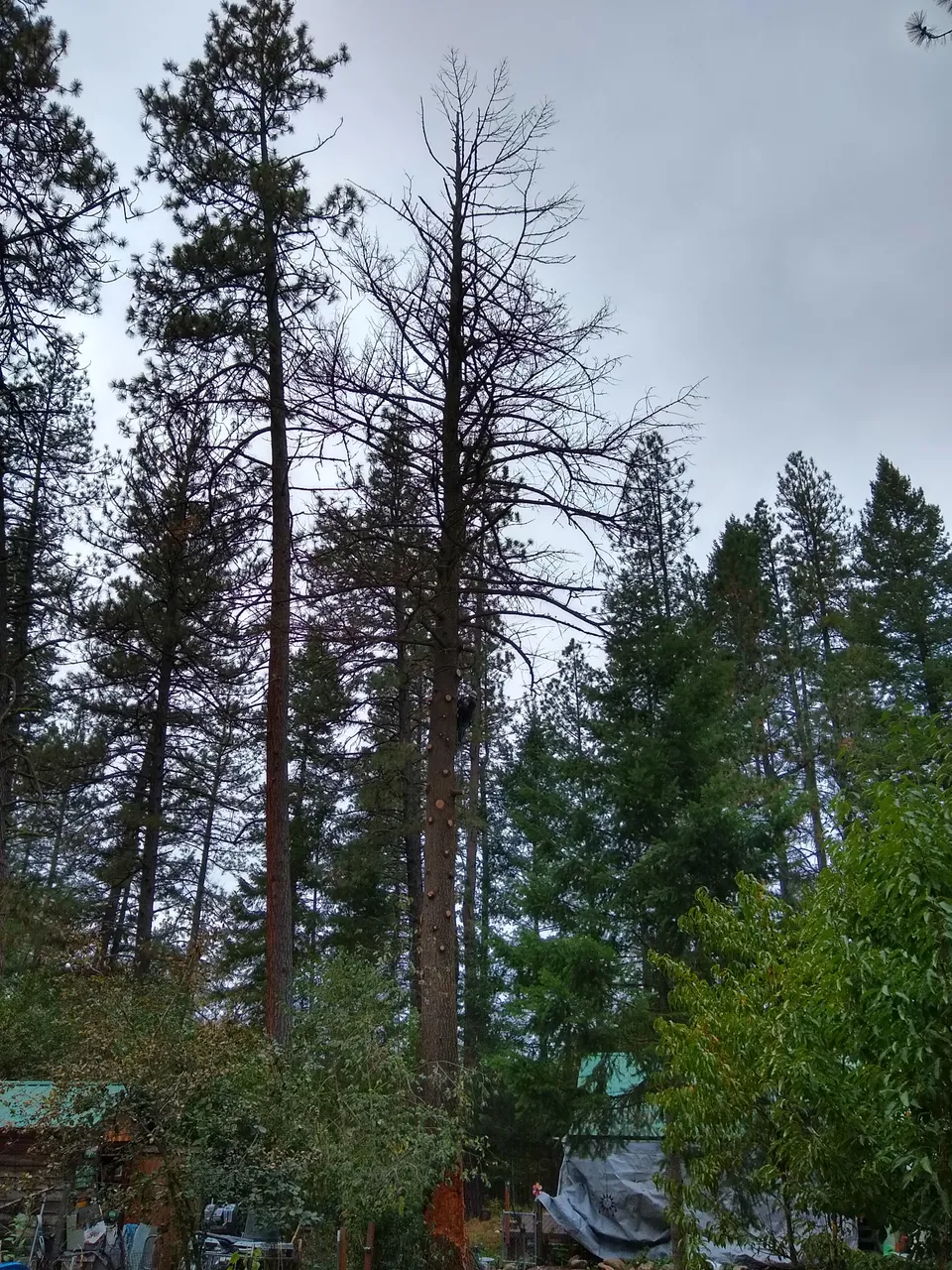 IMG_20190930_131014515_HDR.jpg