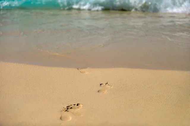 sea-beach-holiday-vacation.jpg