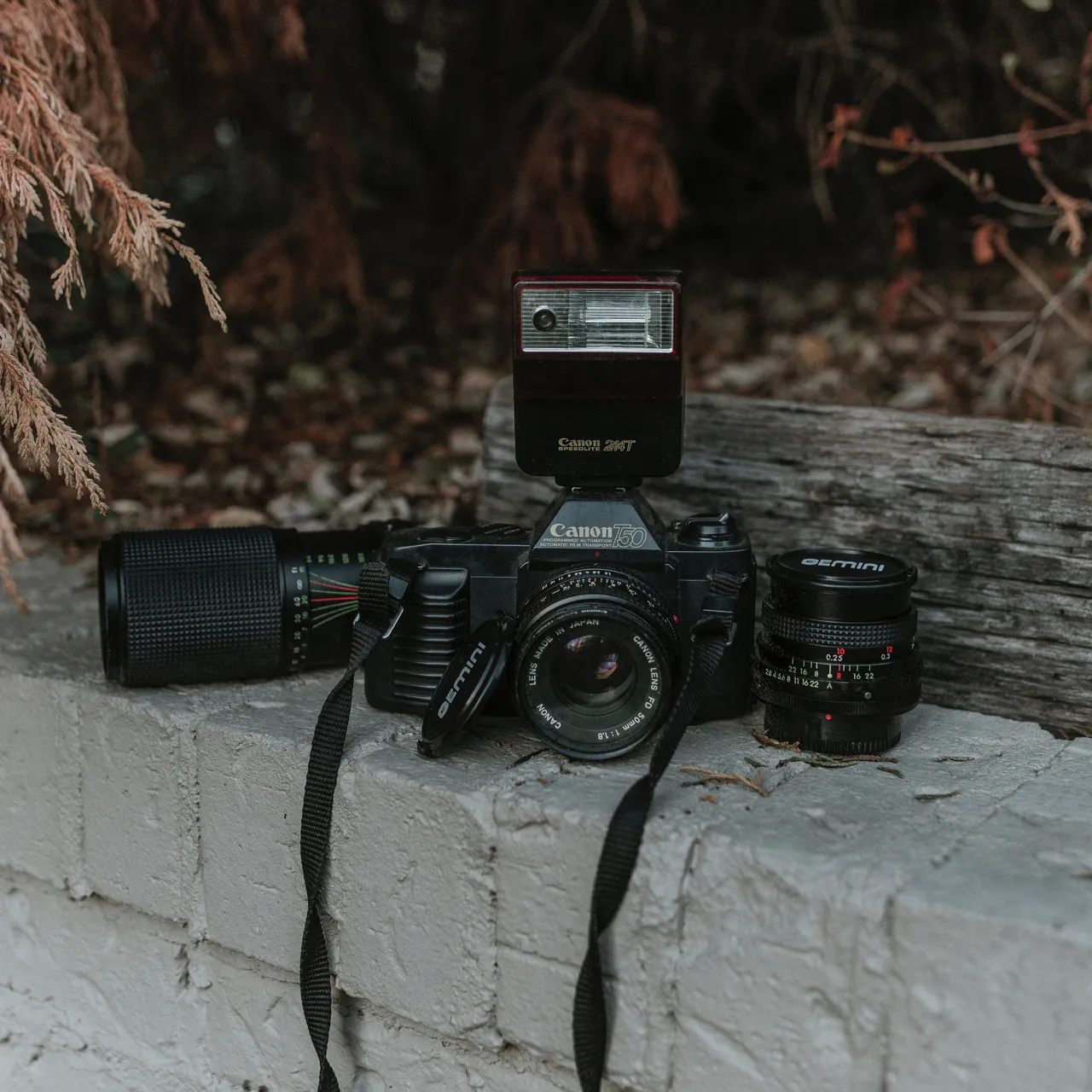 seth-doyle-188649-unsplash.jpg