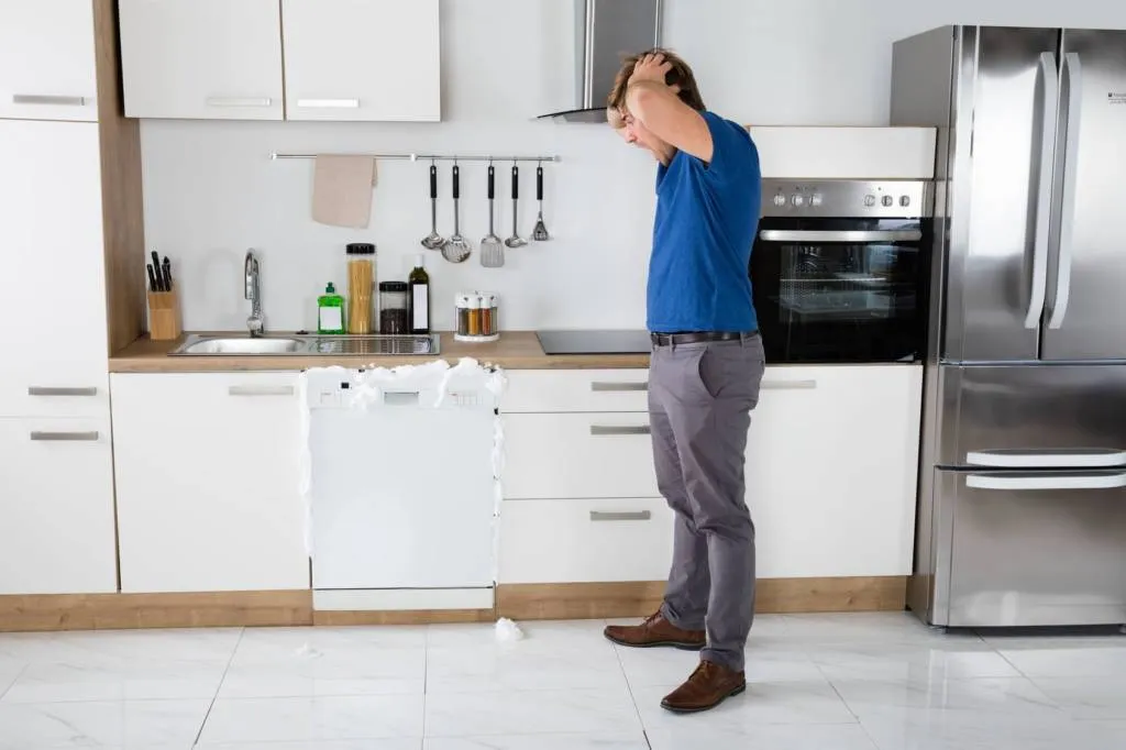 broken-dishwasher-1024x682.jpg