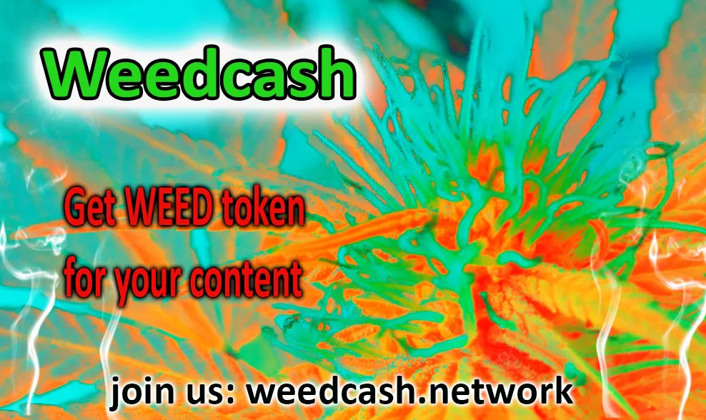 weedcash first2dwsdwdwew.jpg