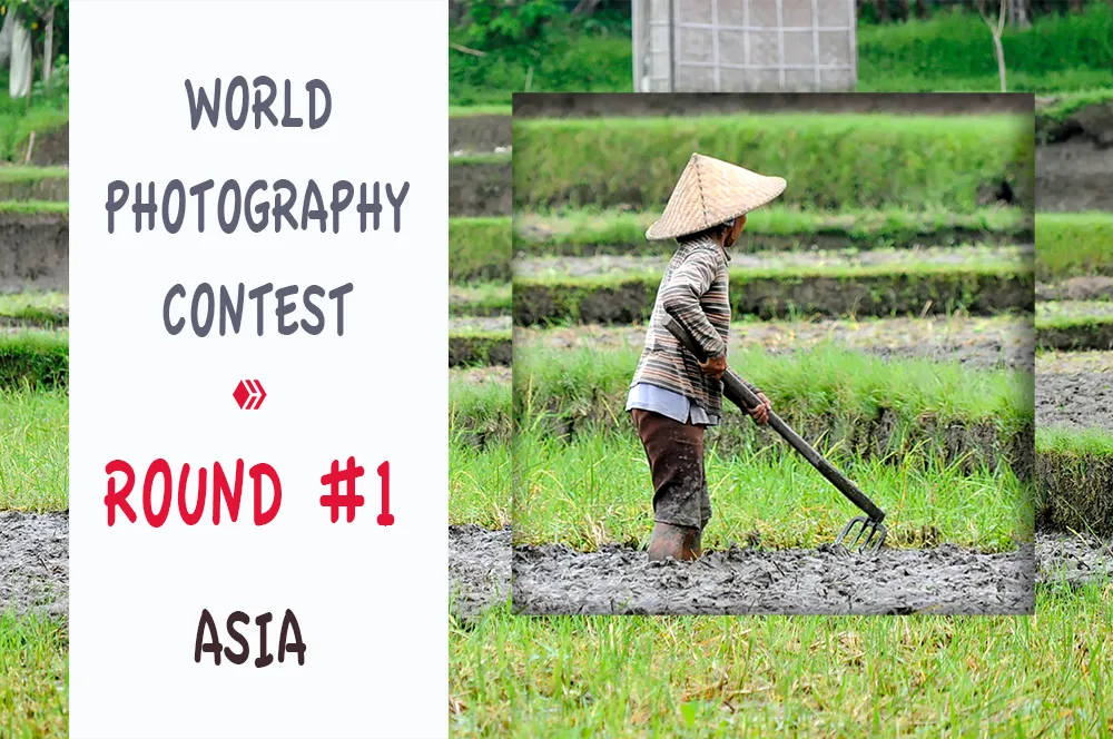 world_photography_contest_asia.jpg